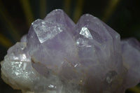 Natural Jacaranda Amethyst Clusters x 2 From Mumbwa, Zambia - TopRock