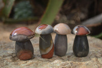 Polished Small Polychrome Jasper Mushrooms  x 37 From Madagascar