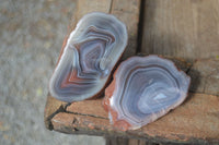 Polished Banded River Agate Nodules  x 6 From Sashe River, Zimbabwe - Toprock Gemstones and Minerals 