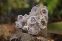 Natural Sugar Amethyst Clusters  x 4 From Solwezi, Zambia