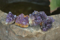 Natural Small Dark Amethyst Crystal Plates  x 70 From Mapatizya, Zambia - Toprock Gemstones and Minerals 