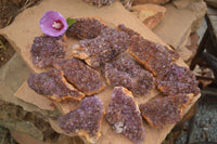 Natural Dark "Amethystos" Amethyst Clusters  x 18 From Kwaggafontein, South Africa - TopRock