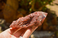 Natural Red Hematoid Phantom Quartz Specimens  x 6 From Karoi, Zimbabwe - TopRock