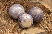 Polished Purple Lepidolite Mica Spheres  x 6 From Madagascar - TopRock