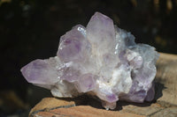 Natural Jacaranda Amethyst Clusters  x 2 From Mumbwa, Zambia - Toprock Gemstones and Minerals 