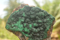 Natural Crystalline Botryoidal Malachite Specimens  x 4 From Tenke Fungurume, Congo - TopRock