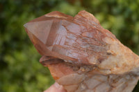 Natural Red Hematoid Phantom Quartz Specimens x 2 From Karoi, Zimbabwe