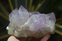 Natural Jacaranda Amethyst Clusters x 2 From Mumbwa, Zambia - TopRock