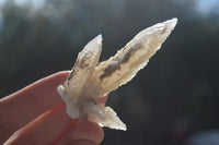 Natural Drusy Quartz Coated Calcite Crystals  x 20 From Alberts Mountain, Lesotho - Toprock Gemstones and Minerals 