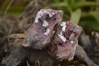 Natural Salrose Cobaltion Dolomite Specimens  x 12 From Kakanda, Congo - TopRock