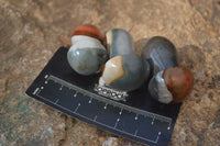 Polished Small Polychrome Jasper Mushrooms  x 37 From Madagascar