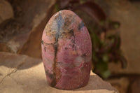 Polished  Pink & Black Rhodonite Standing Free Forms x 2 From Madagascar