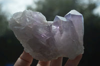 Natural Jacaranda Amethyst Clusters  x 3 From Mumbwa, Zambia - Toprock Gemstones and Minerals 