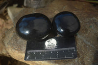 Polished Black Basalt Palm Stones x 12 From Madagascar