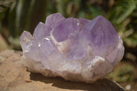 Natural Amethyst Crystal Clusters  x 3 From Zambia - TopRock