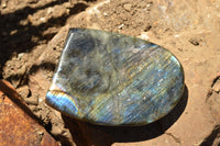 Polished Labradorite Standing Free Forms With Intense Blue & Gold Flash x 2 From Sakoany, Madagascar - TopRock