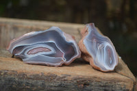 Polished Banded River Agate Nodules  x 6 From Sashe River, Zimbabwe - Toprock Gemstones and Minerals 