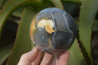 Polished Agate Spheres x 3 From Madagascar