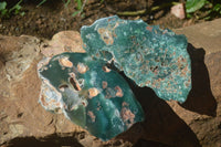 Polished Green Mtorolite / Chrome Chrysoprase Plates  x 2 From Zimbabwe - Toprock Gemstones and Minerals 