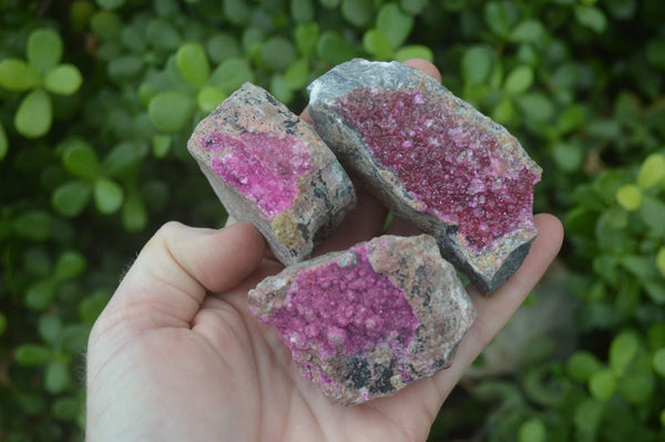 Natural Salrose Cobaltion Dolomite Specimens x 12 From Kakanda, Congo