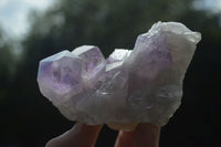 Natural Jacaranda Amethyst Clusters  x 3 From Mumbwa, Zambia - Toprock Gemstones and Minerals 