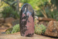 Polished  Pink & Black Rhodonite Standing Free Forms x 2 From Madagascar