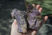 Natural Stichtite & Serpentine Cobbed Specimens  x 12 From Barberton, South Africa - Toprock Gemstones and Minerals 