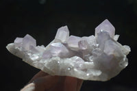 Natural Jacaranda Amethyst Clusters  x 2 From Mumbwa, Zambia - Toprock Gemstones and Minerals 