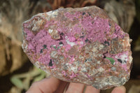 Natural Salrose Cobaltion Dolomite Specimens x 3 From Kakanda, Congo