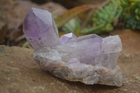 Natural Jacaranda Amethyst Crystal Clusters  x 4 From Zambia - TopRock