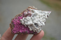 Natural Salrose Cobaltion Dolomite Specimens  x 12 From Kakanda, Congo - TopRock