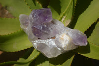 Natural Amethyst Crystal Clusters  x 3 From Zambia - TopRock