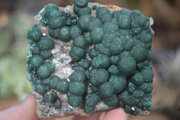 Natural Rare Ball Malachite On Drusy Limonite Quartz & Dolomite Matrix Specimens  x 2 From Kambove, Congo