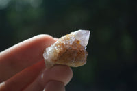 Natural Small Mixed Spirit Quartz Crystals  x 70 From Boekenhouthoek, South Africa - Toprock Gemstones and Minerals 