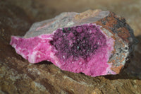 Natural Pink Salrose Cobaltion Dolomite Specimens x 6 From Kakanda, Congo