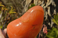 Polished Vibrant Bright Orange Twist Calcite Standing Free Forms  x 2 From Maevantanana, Madagascar - TopRock