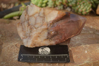 Natural Red Hematoid Phantom Quartz Specimens x 2 From Karoi, Zimbabwe