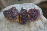 Natural Small Dark Amethyst Crystal Plates  x 70 From Mapatizya, Zambia - Toprock Gemstones and Minerals 