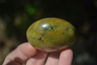 Polished Green Opal Palm Stones  x 12 From Antsirabe, Madagascar - Toprock Gemstones and Minerals 