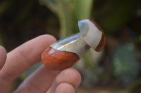 Polished Small Polychrome Jasper Mushrooms  x 37 From Madagascar