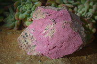 Natural Pink Salrose Cobaltion Dolomite Specimens x 6 From Kakanda, Congo