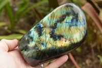 Polished Labradorite Standing Free Forms With Intense Blue & Gold Flash x 2 From Tulear, Madagascar - TopRock