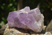 Natural Amethyst Crystal Clusters  x 3 From Zambia - TopRock