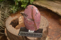 Polished  Pink & Black Rhodonite Standing Free Forms x 2 From Madagascar