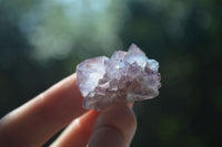 Natural Small Mixed Spirit Quartz Crystals  x 70 From Boekenhouthoek, South Africa - Toprock Gemstones and Minerals 