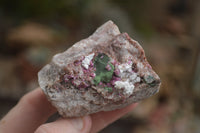 Natural Salrose Cobaltion Dolomite Specimens  x 12 From Kakanda, Congo - TopRock