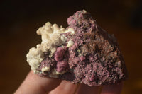 Natural Pink Salrose Cobaltion Dolomite Specimens x 6 From Kakanda, Congo