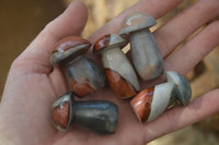 Polished Small Polychrome Jasper Mushrooms  x 37 From Madagascar