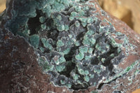 Natural Drusy Coated Malachite On Dolomite Specimen x 1 From Likasi, Congo - Toprock Gemstones and Minerals 