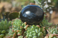 Polished Black Basalt Palm Stones x 12 From Madagascar